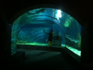 Salah satu terowongan di Siam Ocean World